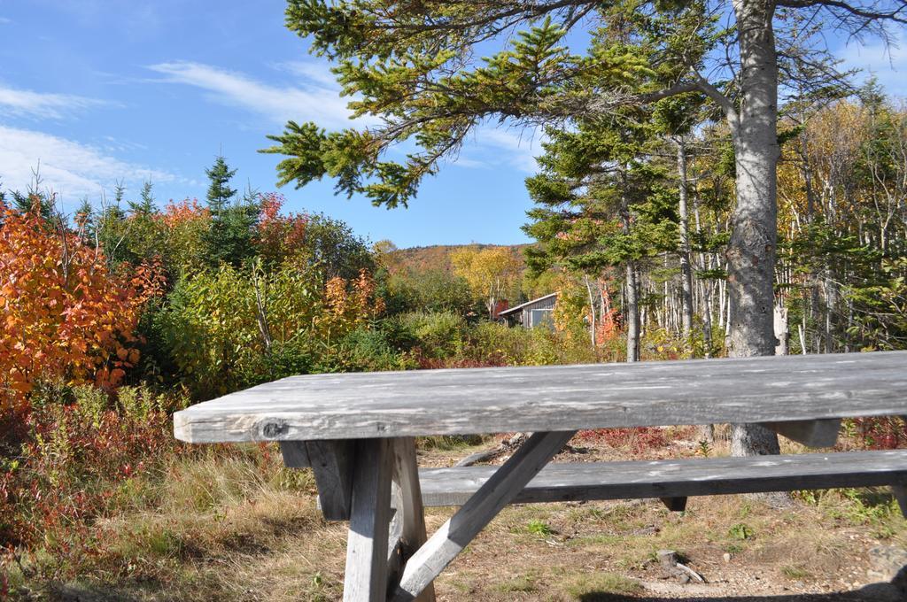 The Sleeping Moose Cottage Birch Plain Exterior photo