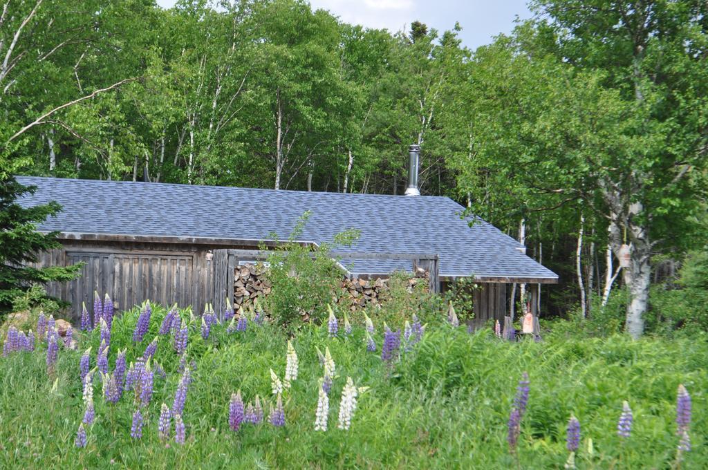 The Sleeping Moose Cottage Birch Plain Exterior photo