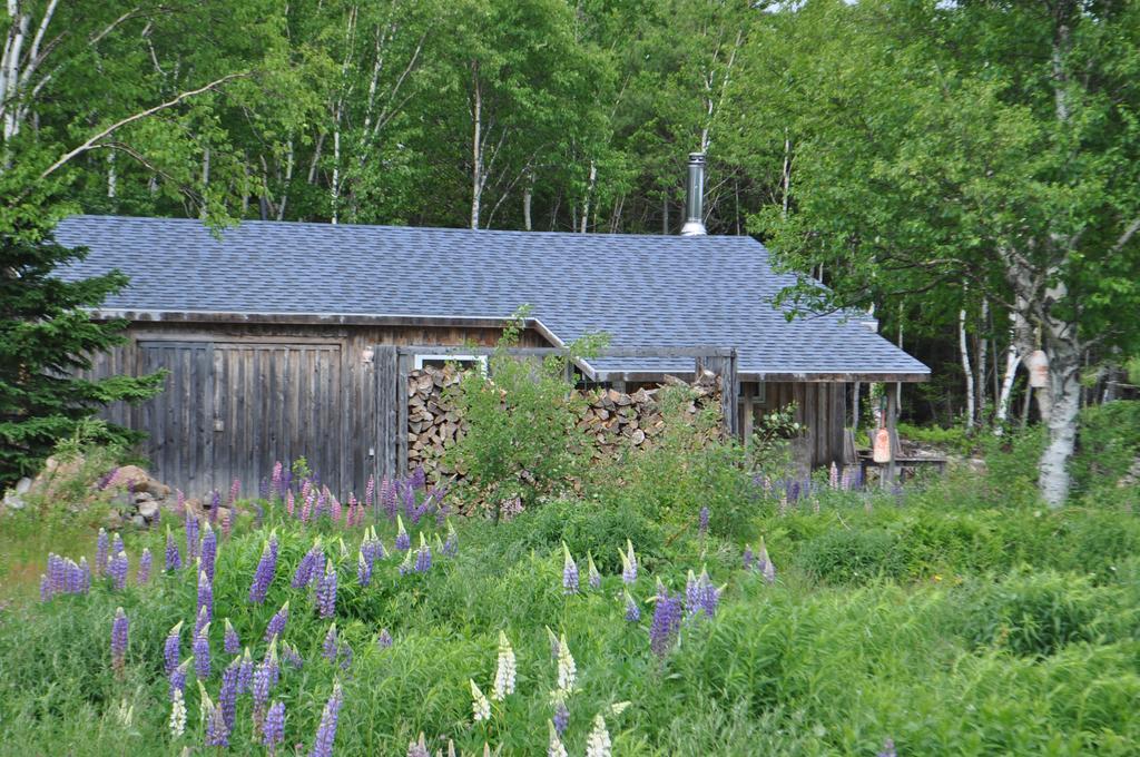 The Sleeping Moose Cottage Birch Plain Exterior photo