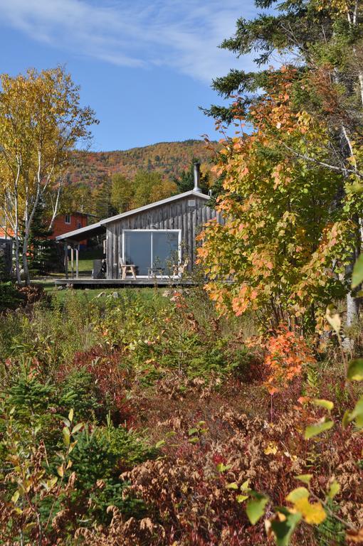 The Sleeping Moose Cottage Birch Plain Exterior photo