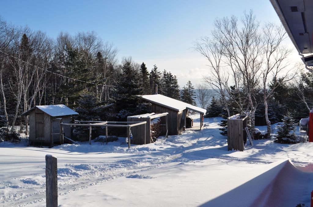 The Sleeping Moose Cottage Birch Plain Exterior photo